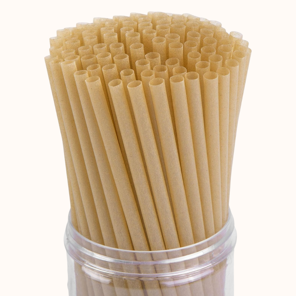 Sugarcane Straws